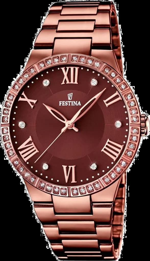 Garde-temps Festina F16801/1 pour femme, cadran marron serti de strass, acier bronze