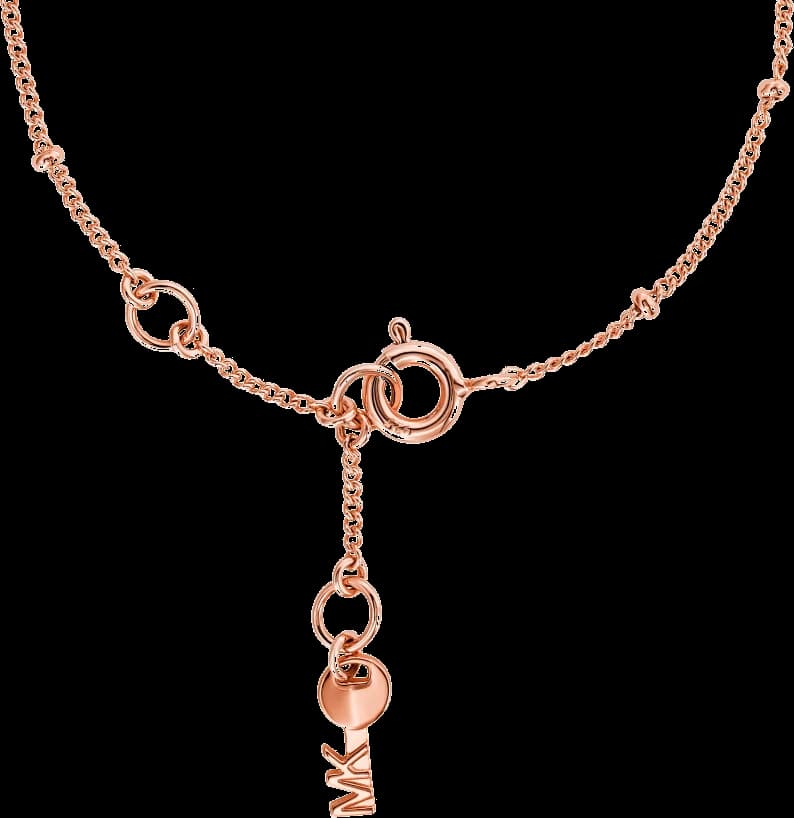 Le garde-temps Michael Kors MKC1118AN791 vu de profil