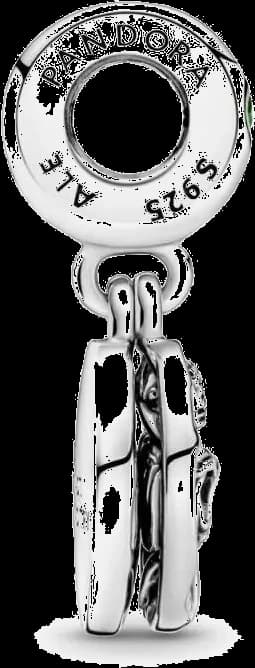 Le garde-temps Pandora 799501C01 vu de profil