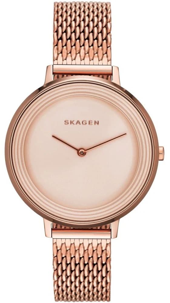 Montre Femme Skagen Ditte SKW2334 Cadran Or Rose Minimaliste