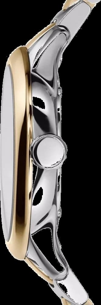 Montre Femme Burberry BU10118 Acier Bicolore Argent et Doré vue 2