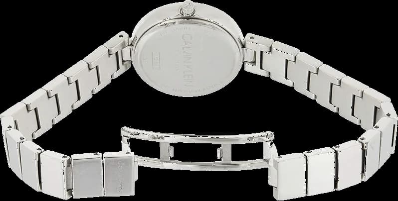 Lunette boîtier Calvin Klein K8G23141 en acier inoxydable poli au design épuré vue de profil