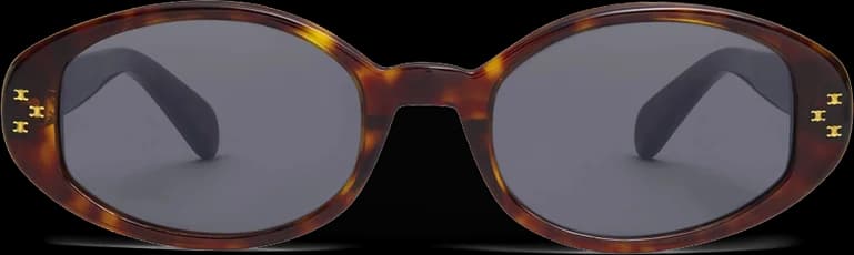 Lunettes de soleil Céline CL40212U pour femme, monture ovale en acétate vue 2