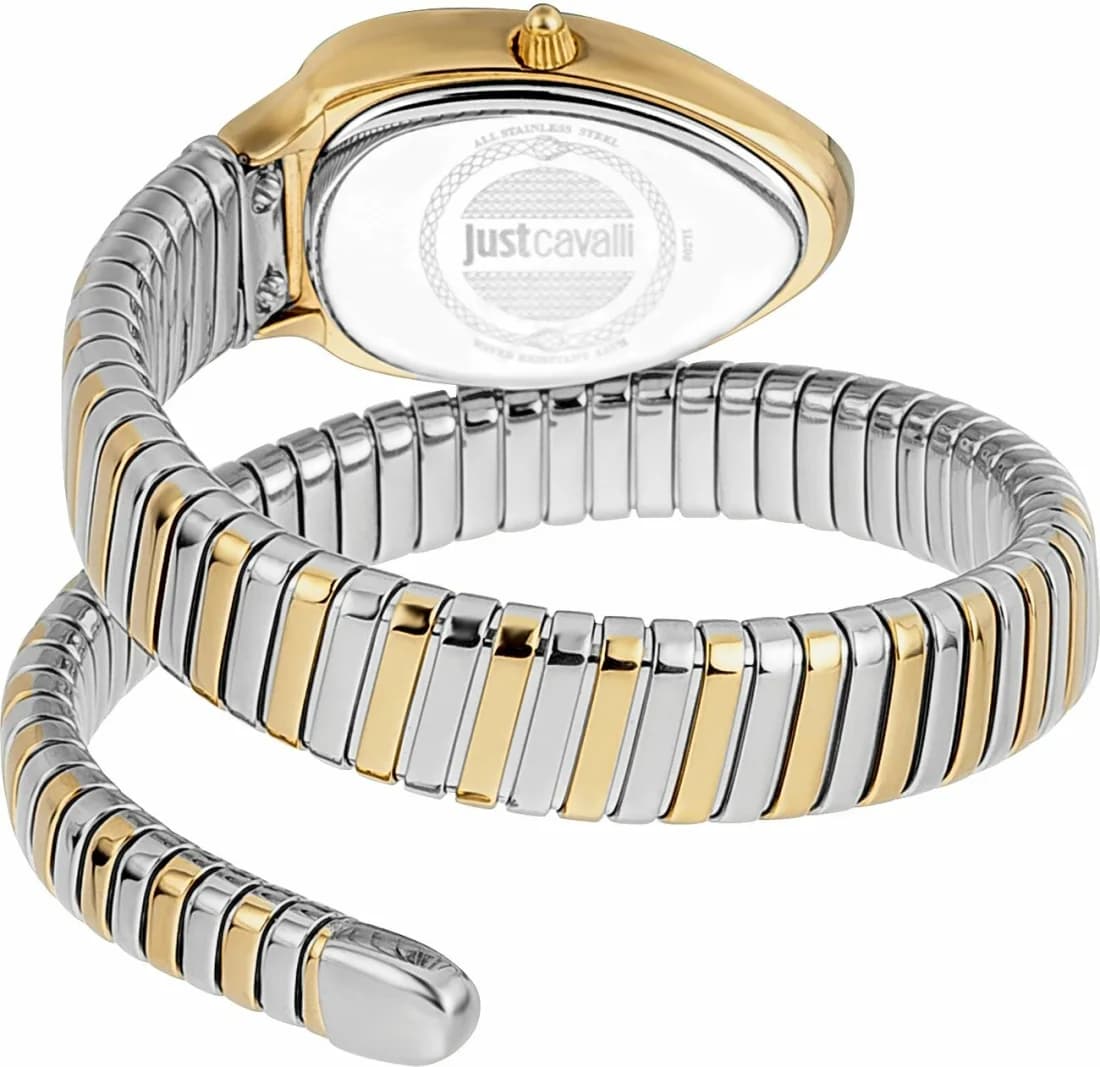 Montre Femme Just Cavalli JC1L208M0065 Bicolore Argent/Or Rose Cadran Nacre vue 2