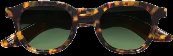 Lunettes de soleil Moscot DAHVEN - Monture ronde unisexe en acétate Translucent Taupe vue 2