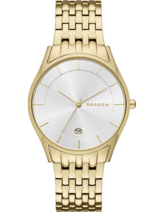 Montre Femme Skagen Holst SKW2389 Or
