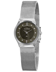 Montre Femme Skagen 233XSSSB1 en acier argenté à cadran gris