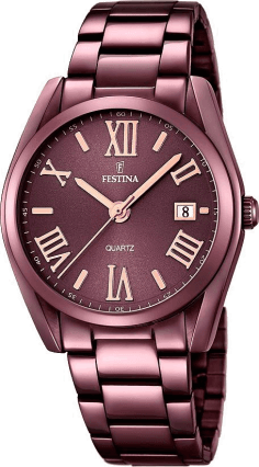 Montre Festina F16865/1 pour Femme, Cadran et Boîtier Marron Acier, Collection Boyfriend