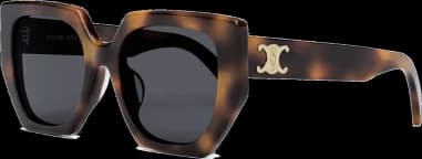 Garde-temps Celine CL40239F 53A, acétate noire avec verres teintés gris