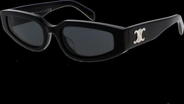 Le garde-temps Celine CL40269U 01A vu de profil