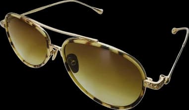 Garde-temps Chrome Hearts CH8118-DK/SS, aviator métal style classique