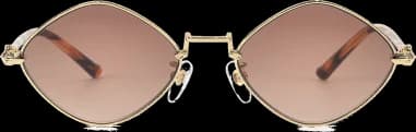 Le garde-temps Chrome Hearts 110017-BROWN vu de profil
