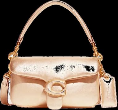 Garde-temps Coach C3880-GOLD, sac en cuir nappa couleur tabby