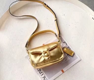Le garde-temps Coach C3880-GOLD vu de profil