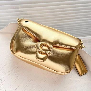Fond du boîtier du garde-temps Coach C3880-GOLD