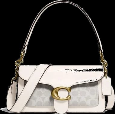 Garde-temps Coach 107286-WHITE, sac bandoulière en toile monogramme marron