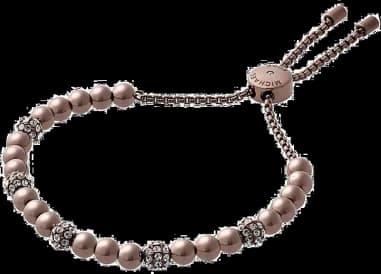 Montre Michael Kors MKJ5894798 pour Femme, Bracelet Acier Marron