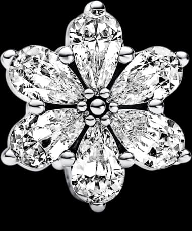 Charm Pandora Timeless Herbier Scintillant 792623C01 en Argent 925/1000 pour Femme