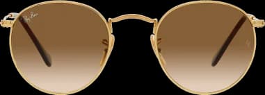 Le garde-temps Ray-Ban RB3447 001/51 50-21 vu de profil