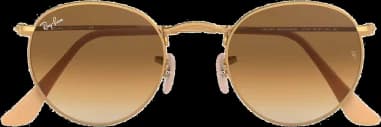 Le garde-temps Ray-Ban RB3447 112/51 50-21 vu de profil