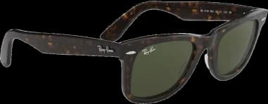 Le garde-temps Ray-Ban RB2140 902 54-18 vu de profil