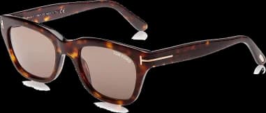 Garde-temps Tom Ford TF0237 52N, avec monture noire et verres polarisés
