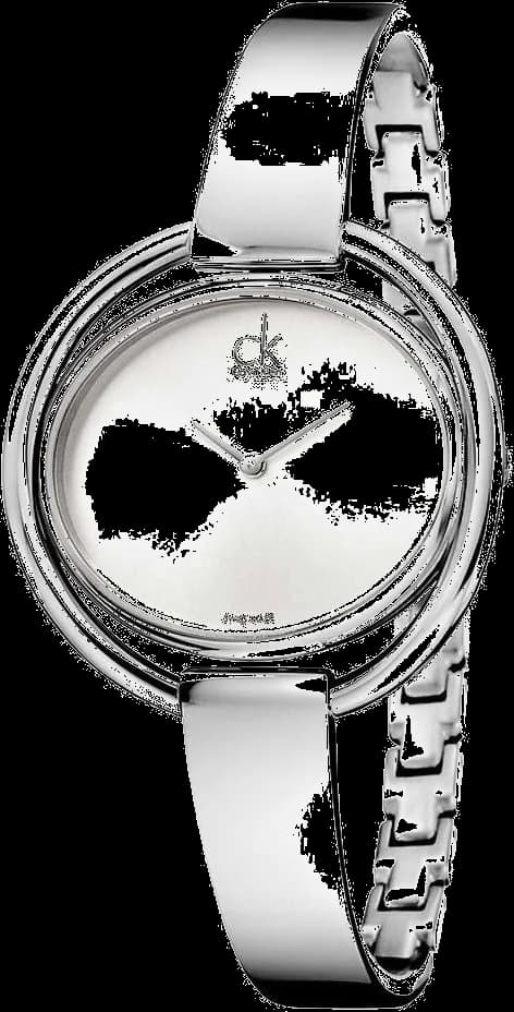 Garde-temps Calvin Klein K4F2N116 pour femme, bracelet acier argenté et cadran argent