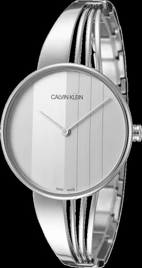 Garde-temps Calvin Klein K6S2N116 pour femme, cadran argent, bracelet acier