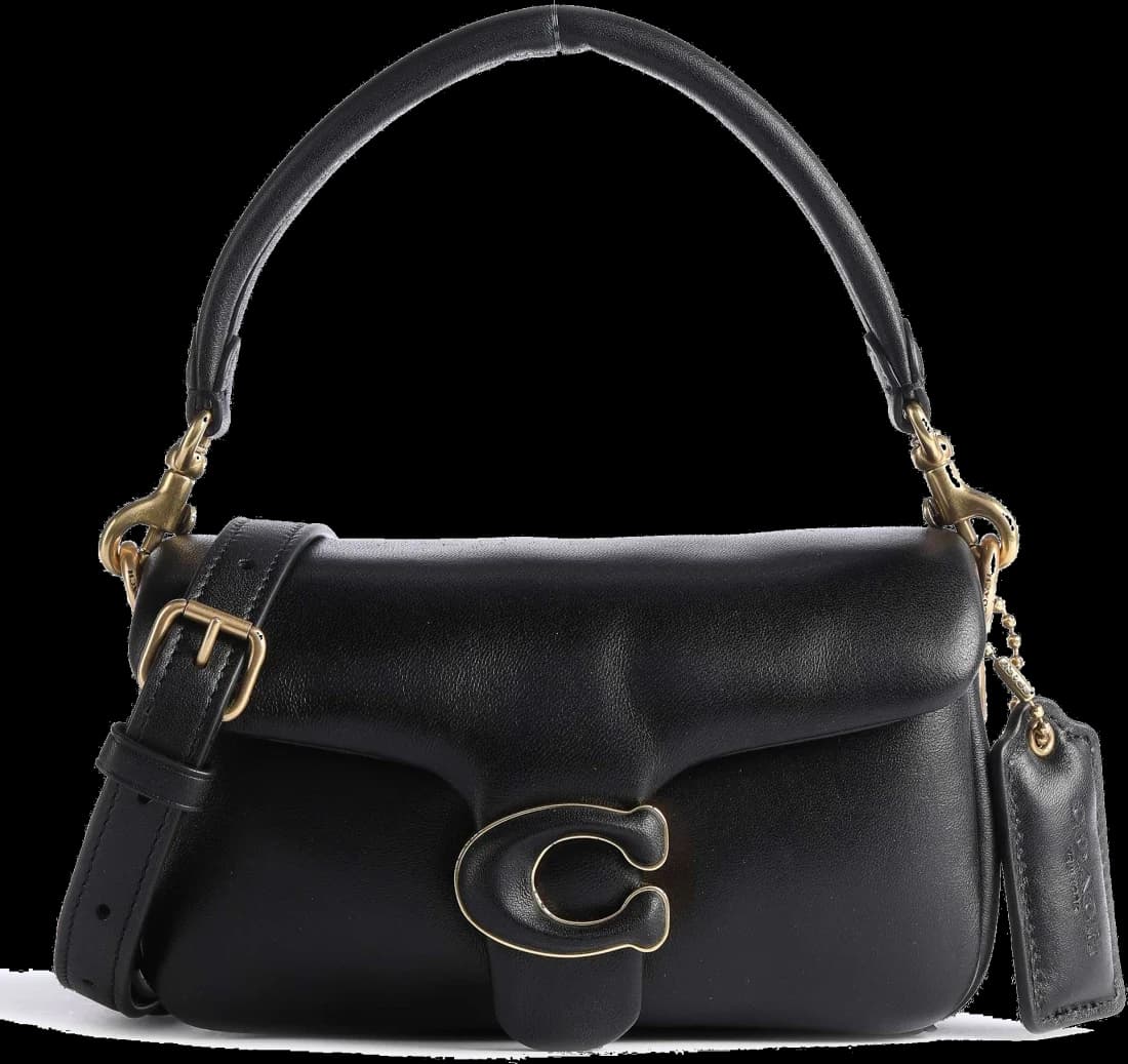 Zoom sur le cadran du Coach C3880