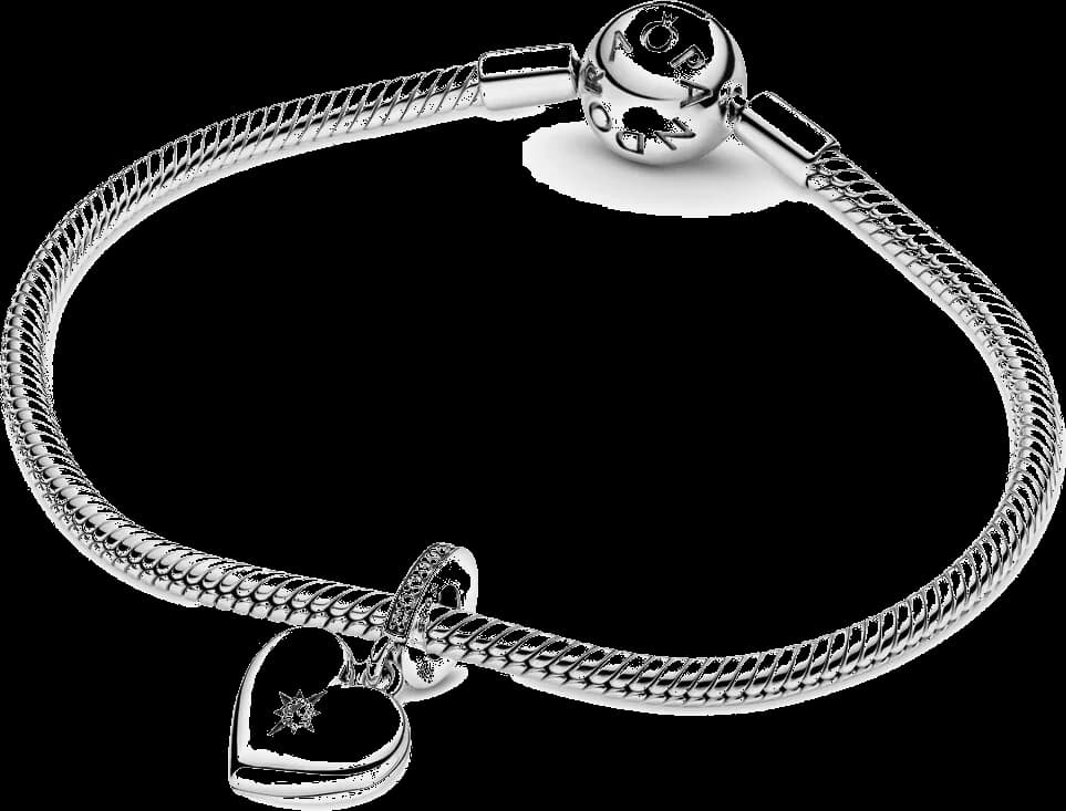 Détail du bracelet du Pandora 799537C01