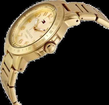 Montre Tommy Hilfiger 1781395 pour Femme - Cadran et Bracelet Acier Doré vue 2