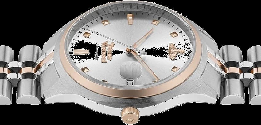 Fond du boîtier du garde-temps Vivienne Westwood VV261SLSR