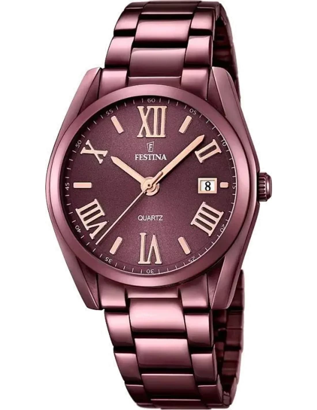 Montre Festina F16865/1 pour Femme, Cadran et Boîtier Marron Acier, Collection Boyfriend