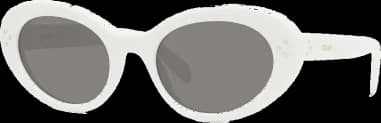 Lunettes de soleil Celine oeil de chat CL40193I monture en acétate