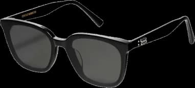 Lunettes de soleil Gentle Monster TAM 01