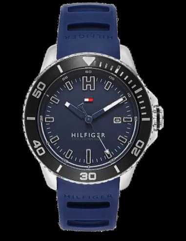 Montre Homme Tommy Hilfiger 1791263 Bleu
