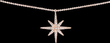 Collier Femme APM Monaco Météorite RP9606OX en Argent plaqué Or Rose