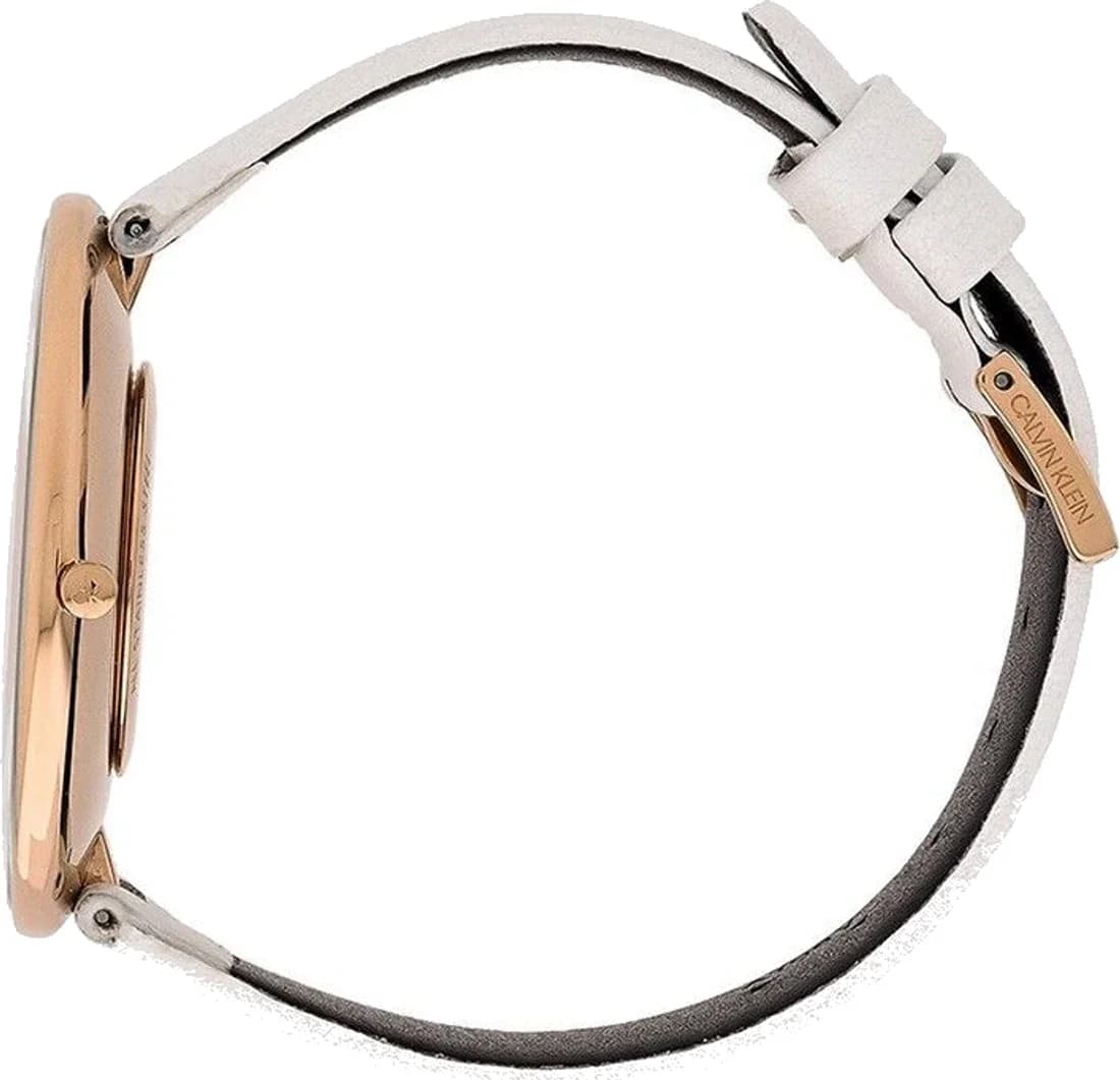 Montre Calvin Klein K8Y236L6 femme vue de profil