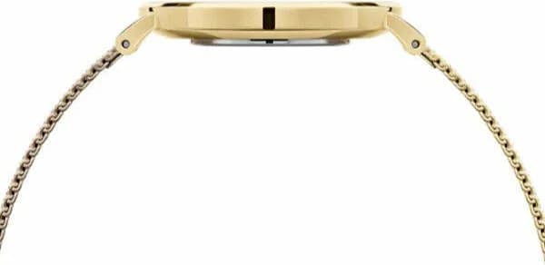 Montre Daniel Wellington DW00100481 femme détail cadran vert