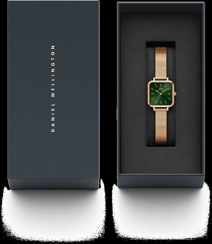 Montre Daniel Wellington DW00100519 femme détail bracelet acier