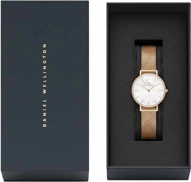 Attache bracelet Daniel Wellington DW00100673 en mesh acier inoxydable argenté, fermoir déployant papillon sécurisé, mailles fines