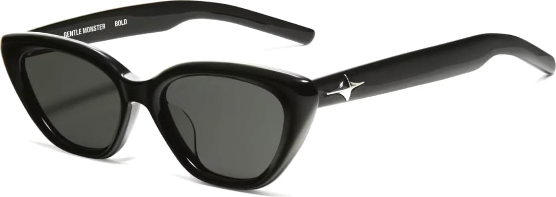 Lunettes de soleil Gentle Monster BOLD SOUNDNET01 Noir Femme