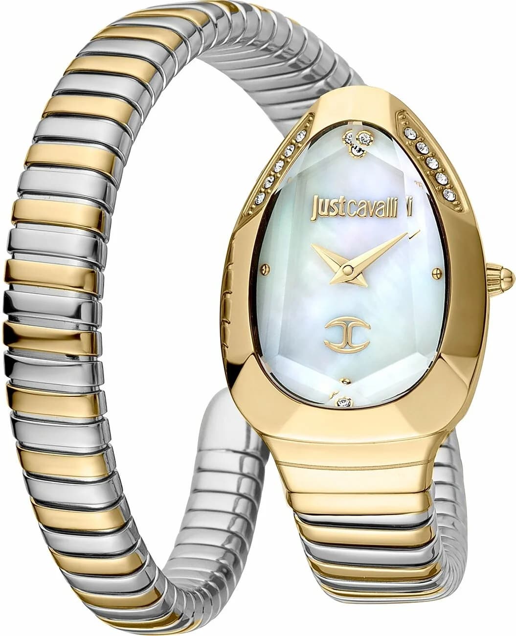 Montre Femme Just Cavalli JC1L208M0065 Bicolore Argent/Or Rose Cadran Nacre