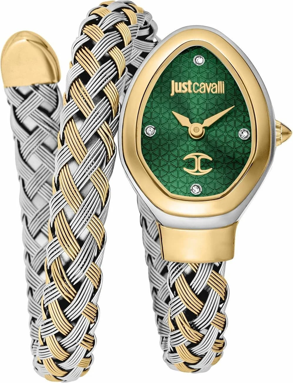 Garde-temps Just Cavalli JC1L264M0065 avec cadran vert soleil, aiguilles bicolores et index appliques