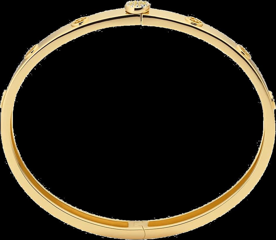Bracelet Femme Michael Kors MKC1548AN710 en Argent Plaqué Or avec Zircons vue 2