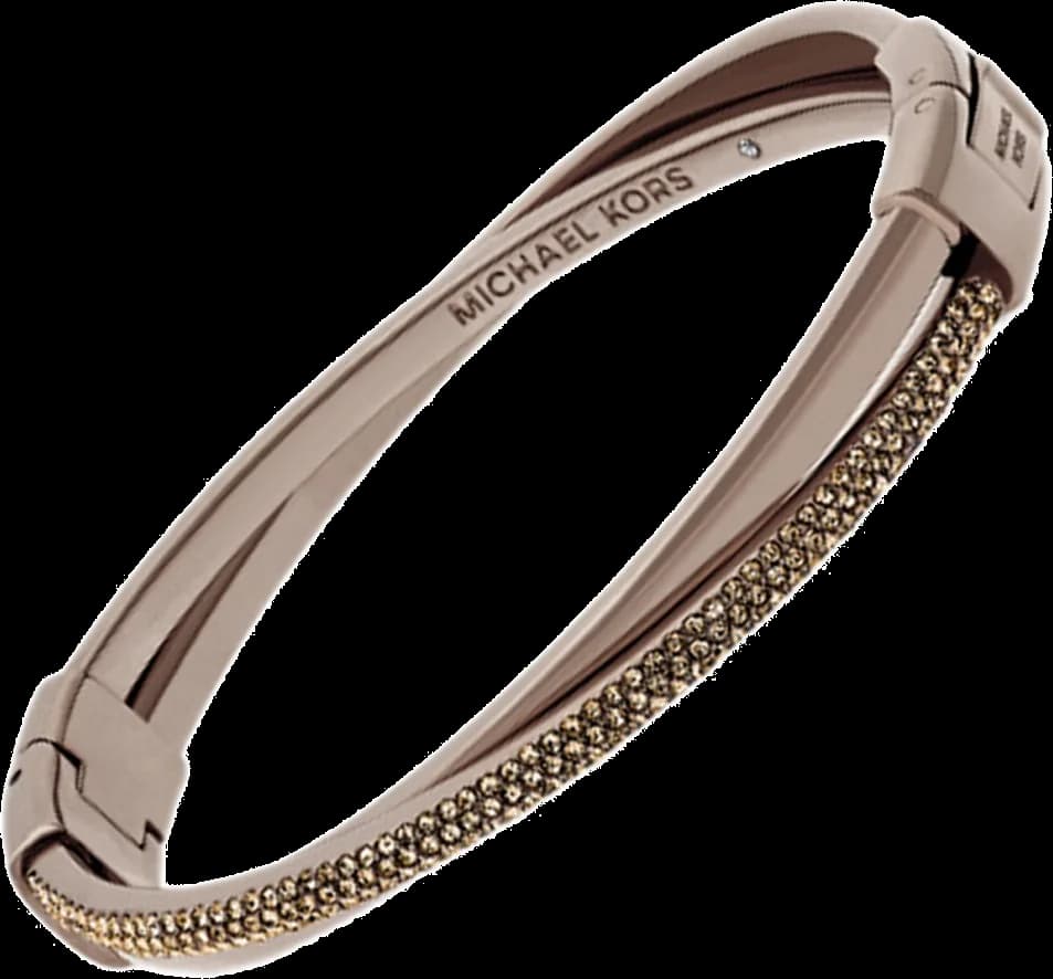 Bracelet Michael Kors MKJ6124798 en acier marron pour femme vue 2