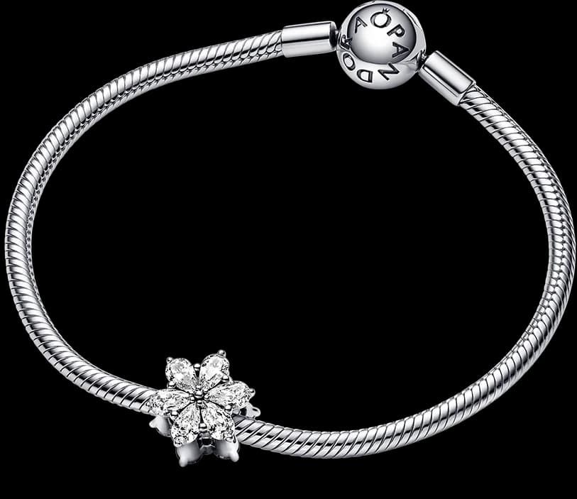Montre Pandora 792623C01 femme détail cadran