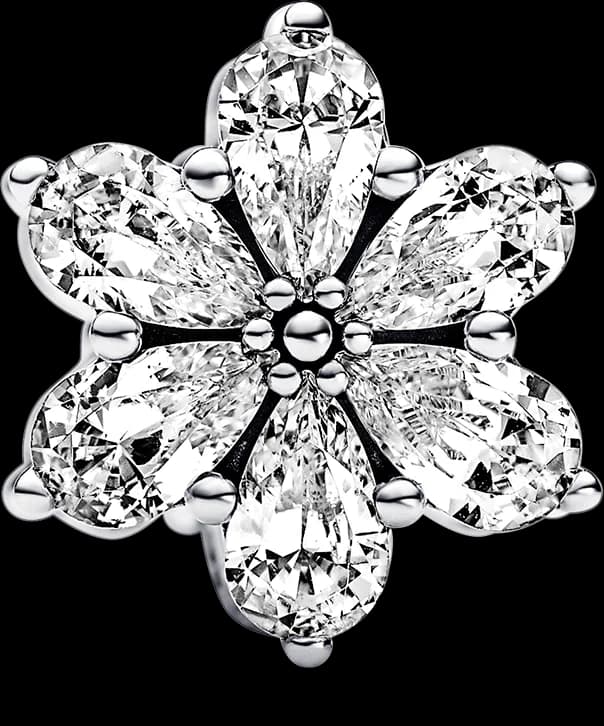 Charm Pandora Timeless Herbier Scintillant 792623C01 en Argent 925/1000 pour Femme