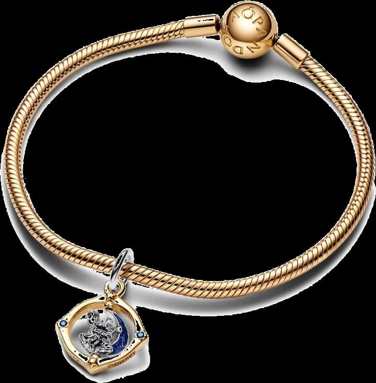 Montre Pandora 762955C01 femme détail cadran