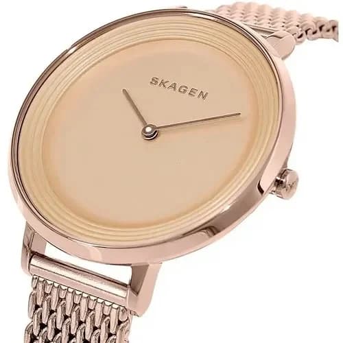 Le garde-temps Skagen SKW2334 vu de profil